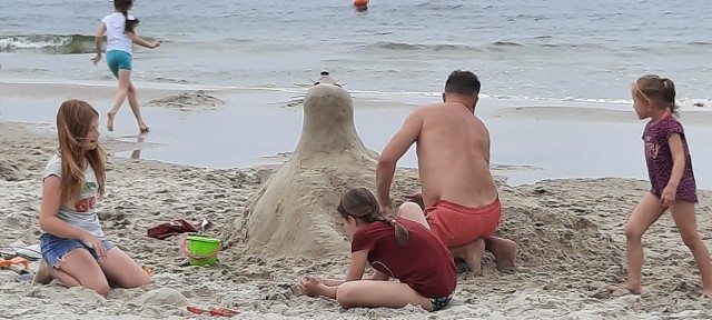 Obecność na plaży zobowiązuje - jeśli nie do obudowy pałacu, to np. foki