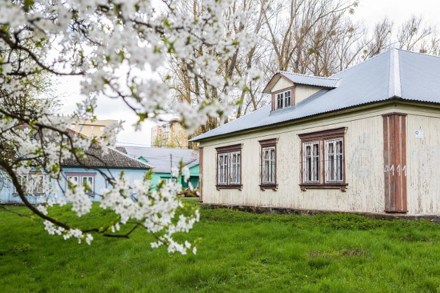 Pomimo wyrastających z każdej strony szklanych wieżowców, Warszawa ma jeszcze miejsca, która pozwalają pamiętać o jej historii. Jednym z nich jest Osiedle Akademickie Przyjaźń, czyli pierwsze w Polsce studenckie miasteczko i jednocześnie baza, bez której nie powstałby Pałac Kultury i Nauki.



Mówi się, że Osiedle Przyjaźń nigdy nie powstałoby bez PKiN, a najwyższy do dzisiaj budynek w Warszawie też nigdy by nie powstał, gdyby nie miejsce, które dzisiaj znajdziemy tuż przy ratuszu na Bemowie. To tutaj mieszkali radzieccy robotniczy, którzy budowali Pałac Kultury i Nauki. Uznano, że najlepszą lokalizacją dla nich będą Jelonki, ze względu na dogodne szlaki komunikacyjne i bliskość torów kolejowych. Wcześniej na terenie Osiedla Przyjaźń były pola, na których uprawiano warzywa. Rolników wywłaszczono, grunty przejął Skarb Państwa i wybudowano osiedle.



W domach jednorodzinnych mieszkała kadra inżynierska, a w barakach mieszkali robotnicy. Dowody ich pobytu cały czas odnajdywane są na osiedlu przy okazji remontów. W ścianach można znaleźć stare radzieckie gazety, zabetonowane stare siekiery czy czapki, w których pracowała ekipa budowlana PKiN. Kiedy budowa Pałacu została zakończona, postanowiono tutaj utworzyć hotele robotnicze "Zachód". Przeznaczenie tych terenów zmienił jednak ówczesny premier Józef Cyrankiewicz, który w połowie lat 50. poprzedniego stulecia postanowił przekształcić hotele robotnicze w pierwszą warszawską bazę dla studentów.



Dzisiaj tereny dookoła Osiedla Przyjaźń całkowicie się zmieniły, ale ponieważ grunt, na którym powstało osiedle należy do skarbu państwa, to zmiany go na razie ominęły. Kilka lat temu duże pieniądze chciała w ten teren zainwestować spółka z Hiszpanii, jednak wówczas właściciele ziemi, których wywłaszczono przy budowie osiedla zaczęli zgłaszać roszczenia. Miasto je odrzuciło, więc zostały skierowane na drogę sądową. To oznacza, że na inwestycje w tym miejscu możemy poczekać jeszcze jakiś czas.



Cały czas teren osiedla zamieszkują studenci oraz pracownicy naukowi, chociaż warunki mieszkaniowe często nie są tam zbyt komfortowe. Poza tym osiedle jest drogie w utrzymaniu. Budynki nie spełniają norm energetycznych, w niektórych pokojach nie ma wody, nie ma gazu, a gęstość zaludnienia jest bardzo mała jak na standardy warszawskie. Wkrótce tuż obok zabytkowego osiedla wyrośnie kilka stacji drugiej linii metra. Wtedy sielankowe życie mieszkańców osiedla może się zmienić, a teren będzie na tyle atrakcyjny, że sprawa roszczeń i ewentualnych inwestycji poczynionych przez skarb państwa zostanie rozstrzygnięta bardzo szybko.