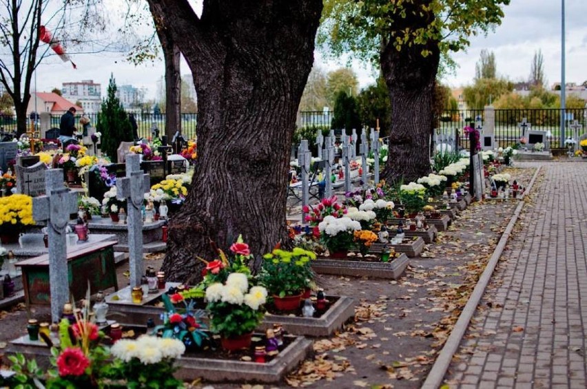 Wyszukiwarka grobów Głogów. Zobacz, jak znaleźć mogiłę na cmentarzach: w Głogowie i okolicy