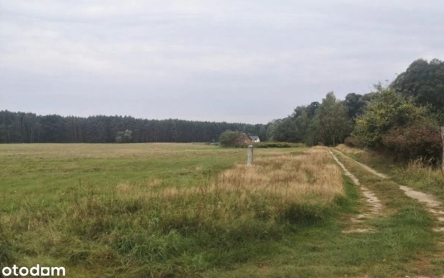 Zobaczcie najtańsze działki budowlane na sprzedaż w województwie lubuskim. Większość z nich jest w cichej okolicy, daleko od drogi, blisko lasów. To prawdziwe okazje!  >>> 