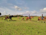 Pomagali chorym dzieciom. Los stajni, która prowadziła hipoterapię zagrożony. Zbierają pieniądze na jedzenie dla koni (zdjęcia)