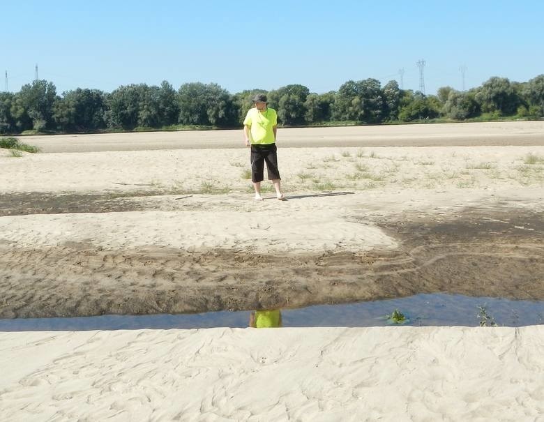 "Susza, a na posesji basen wielkości boiska". Zdruzgotani rolnicy komentują