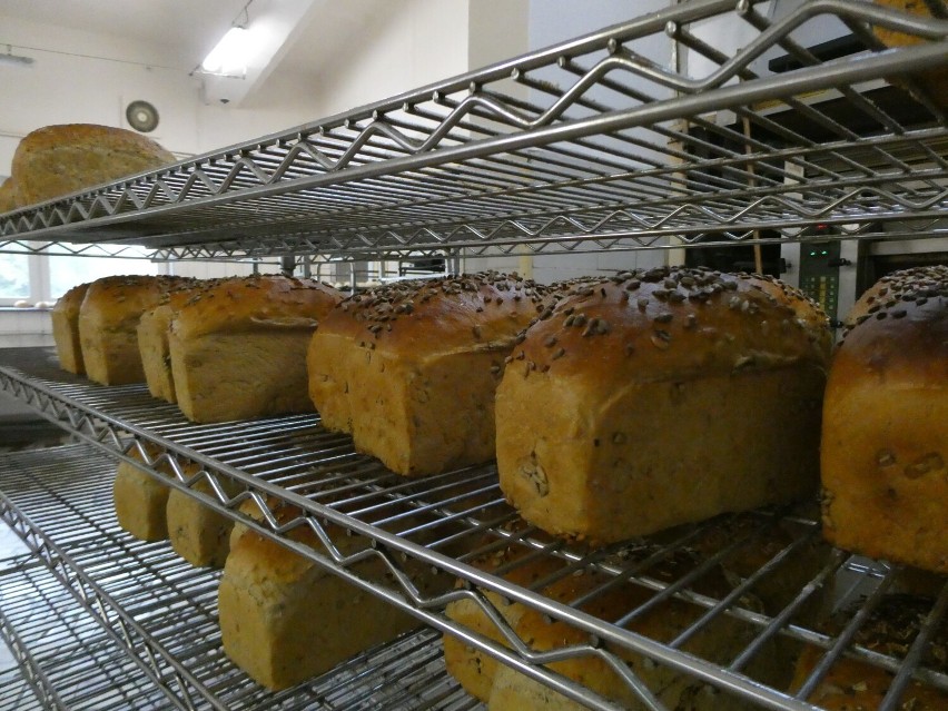 Jak wygląda produkcja chleba w Działoszynie?
