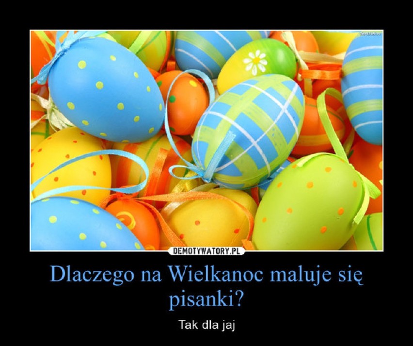 Wielkanoc na wesoło, czyli jak internauci widzą święta