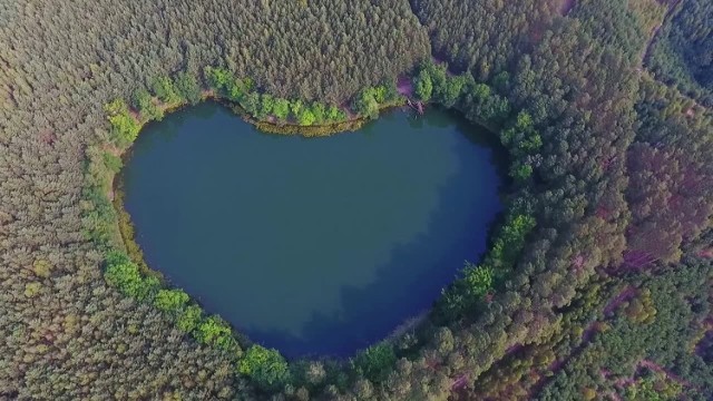 Lubuski cud natury. Jezioro w kształcie serca leży 70 km od Zielonej Góry. To niecała godzina drogi samochodem.