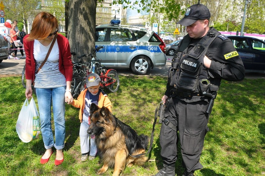 3 maja w Krakowie. Piknik na Błoniach [ZDJĘCIA, WIDEO]