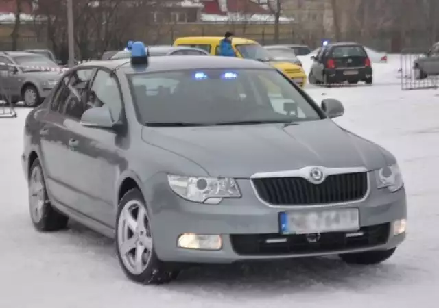 Po pierwsze BMW. Bawarski producent wygrał przetarg, dzięki czemu polscy policjanci zasiądą za kierownicą 140 nieoznakowanych radiowozów. Będą to modele Serii 3 w wersji 330i i z napędem xDrive. Pod maską znajduje się 2-litrowy turbodoładowany silnik o mocy 252 KM z momentem obrotowym rzędu 350 Nm przy 5200 obr./min. Według specyfikacji producenta, przyspieszenie od 0 do 100 km/h zajmuje 5,8 sekundy, zaś prędkość maksymalna to 250 km/h.