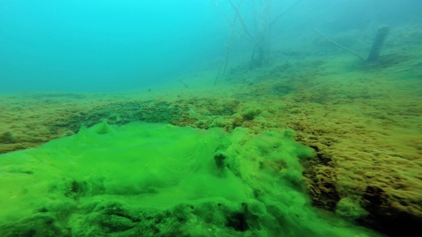 Geopark Łuk Mużakowa to idealne miejsce na weekendowy wypad...