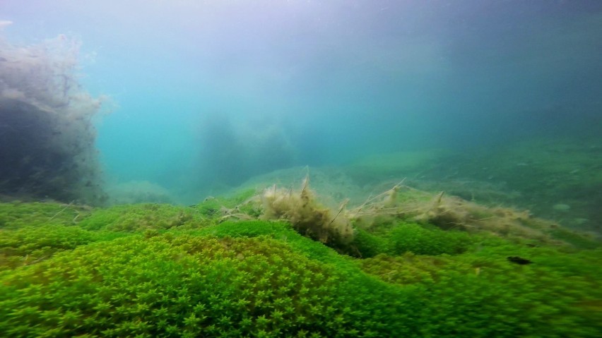 Geopark Łuk Mużakowa to idealne miejsce na weekendowy wypad...