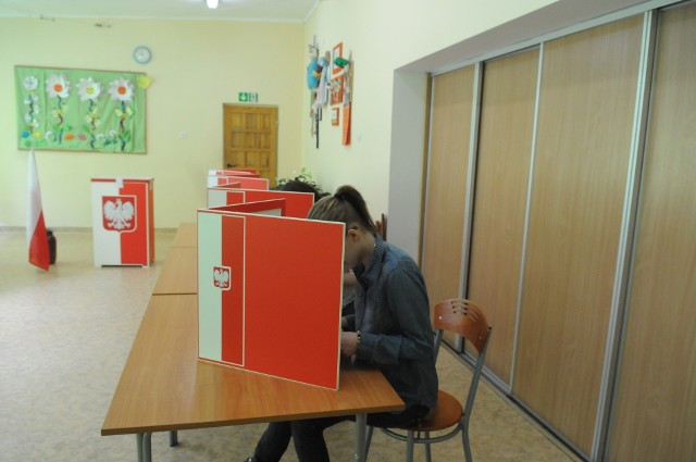 Wyniki głosowania do rady powiatu radomszczańskiego w wyborach samorządowych