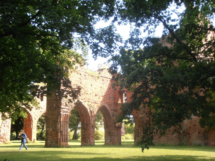 Ruiny klasztoru Eldena koło Greifswaldu