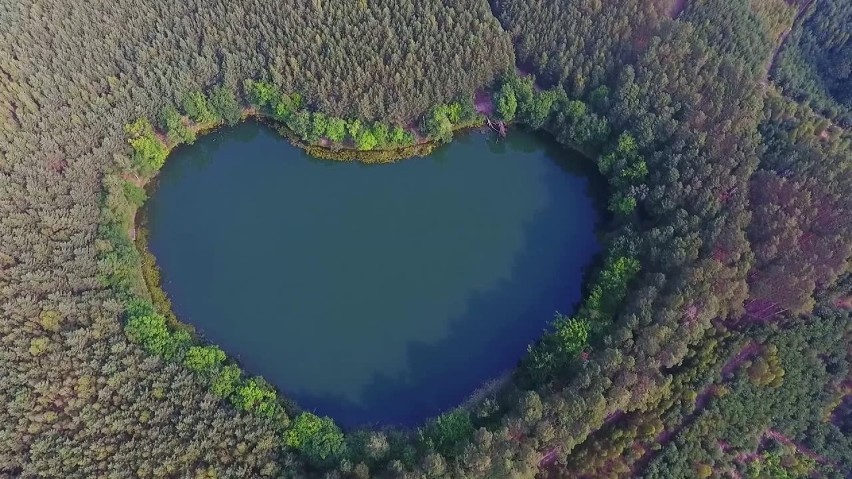 Lubuski cud natury. Jezioro w kształcie serca leży niecałą...