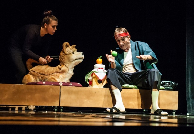 Spektakl opowiadający o wzajemnych relacjach, emocjach i tworzeniu się więzi pomiędzy psem i jego panem był setną premierą teatru przygotowaną pod nazwą Teatr Maska w Rzeszowie.
