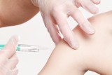 Darmowe szczepienia przeciwko grypie dla seniorów z gminy Żary. Tylko dla mieszkańców gminy powyżej 65. roku życia