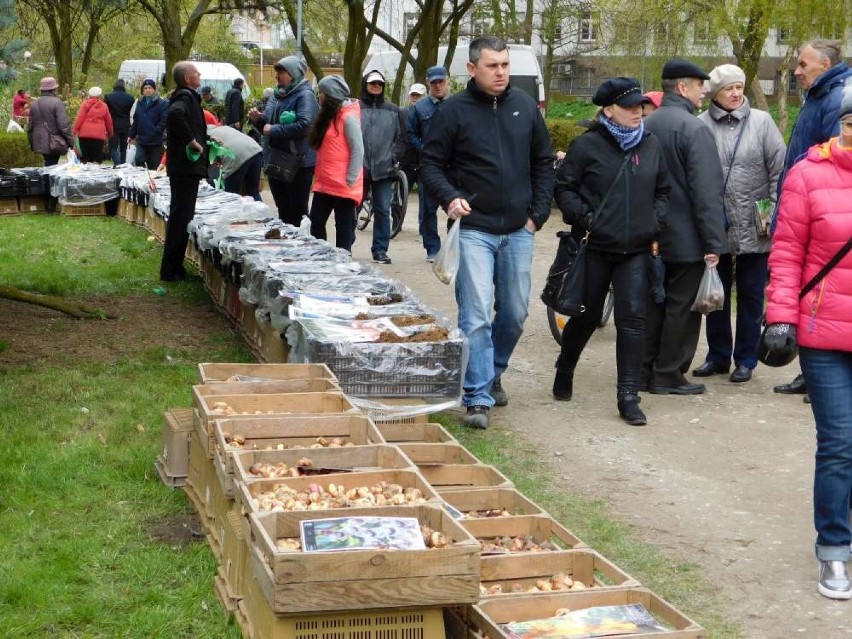 Piła. Przypominamy zdjęcia z wystawy Miasto - Ogród, która odbyła się na Wyspie w Pile w 2017 roku. Było pięknie!