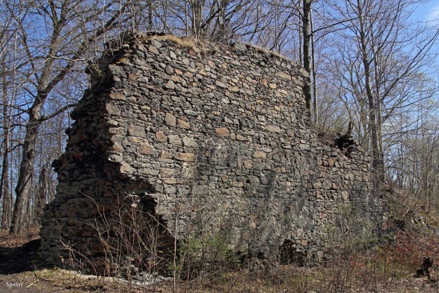 Pozostałości po zamku Wronów w Trzcińcu.