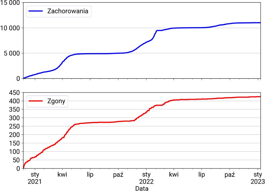 11 010 zakażonych, 426 zgonów.