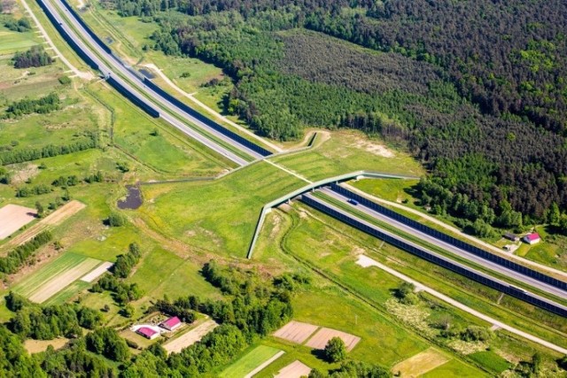 Przejście dla zwierząt nad autostradą A4, na odcinku Dębica - Rzeszów