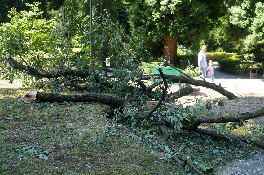 Trwa sprzątanie w krakowskim zoo