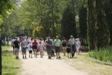 Krzysztof Penderecki w Arboretum Leśnym im. prof. Stefana Białoboka w Stradomi (GALERIA)