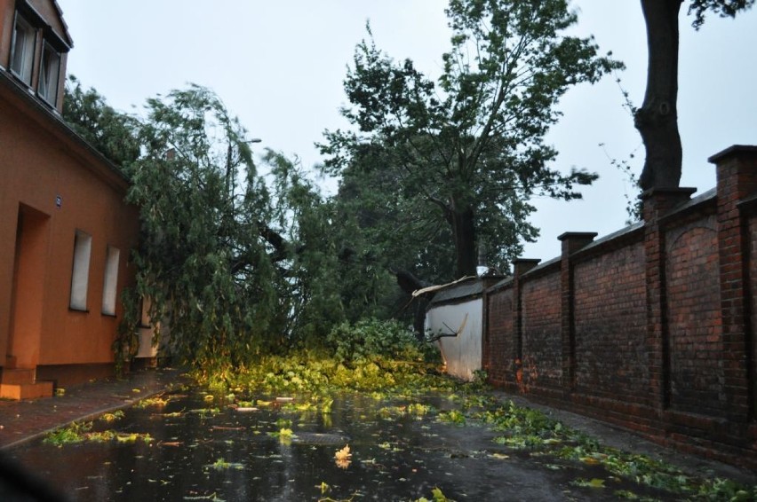 Skutki burzy, która przeszła nad miastem 15 sierpnia 2015...