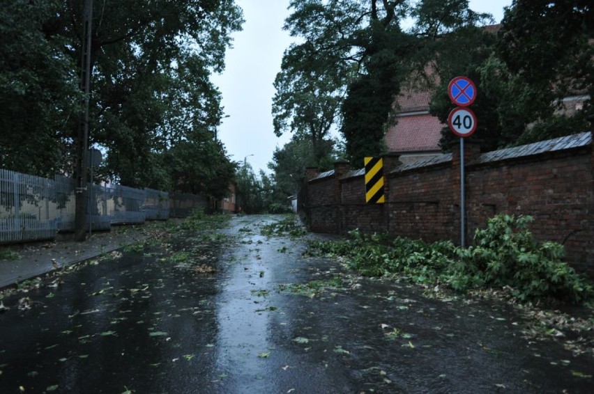 Skutki burzy, która przeszła nad miastem 15 sierpnia 2015...