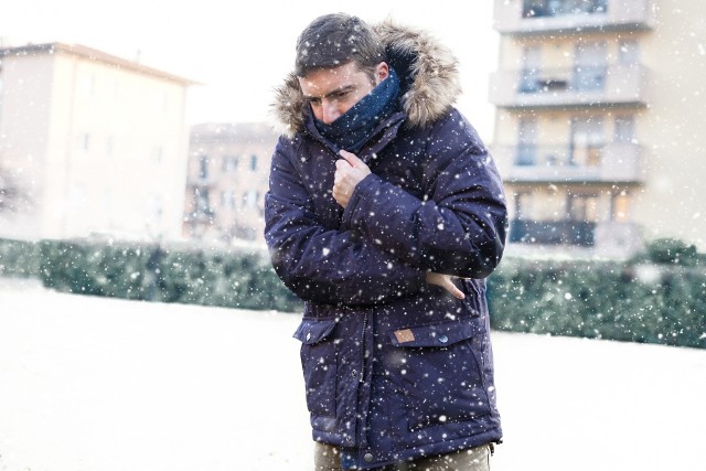 Męskie kurtki zimowe. Jakie kurtki pomogą przetrwać zimę? | Nasze Miasto