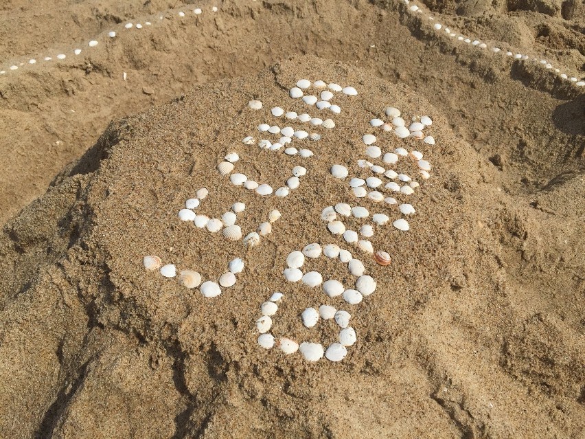 PGE Arena z piasku. Konkurs budowania piaskowych stadionów na plaży w Brzeźnie [ZDJĘCIA, WIDEO]