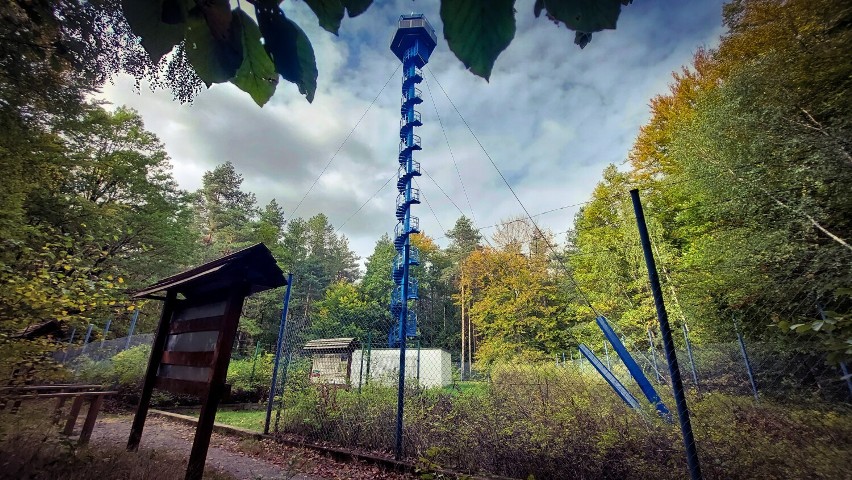 Wieże w Zielonym Lesie w Żarach. Wieża obserwacyjna