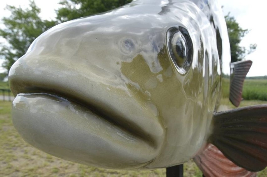 Park Ryb w Skwierzynie
Gigantyczne makiety ryb (większe od...
