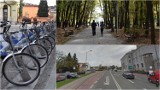 Więcej rowerów miejskich w Tarnowie. Zdecydowano gdzie staną dwie nowe stacje roweru miejskiego