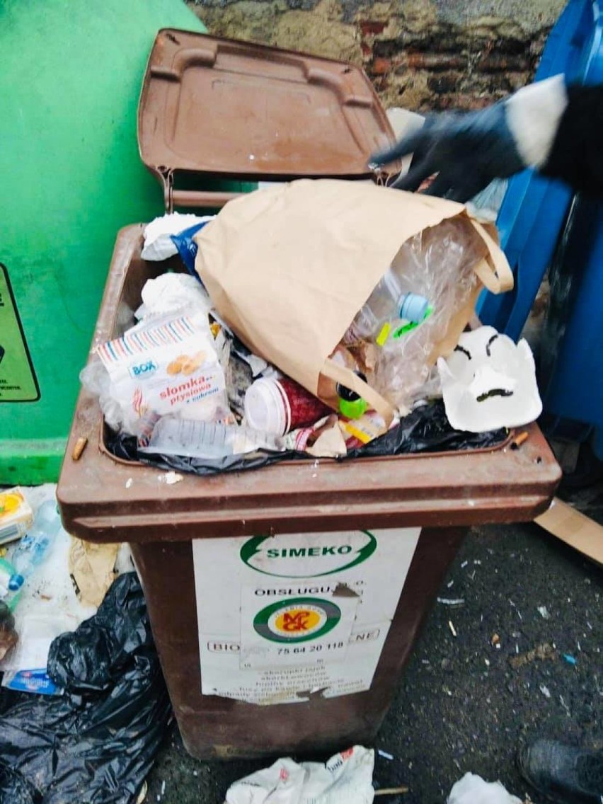 Jelenia Góra walczy ze śmieciami. Zobacz brzydkie nawyki mieszkańców miasta