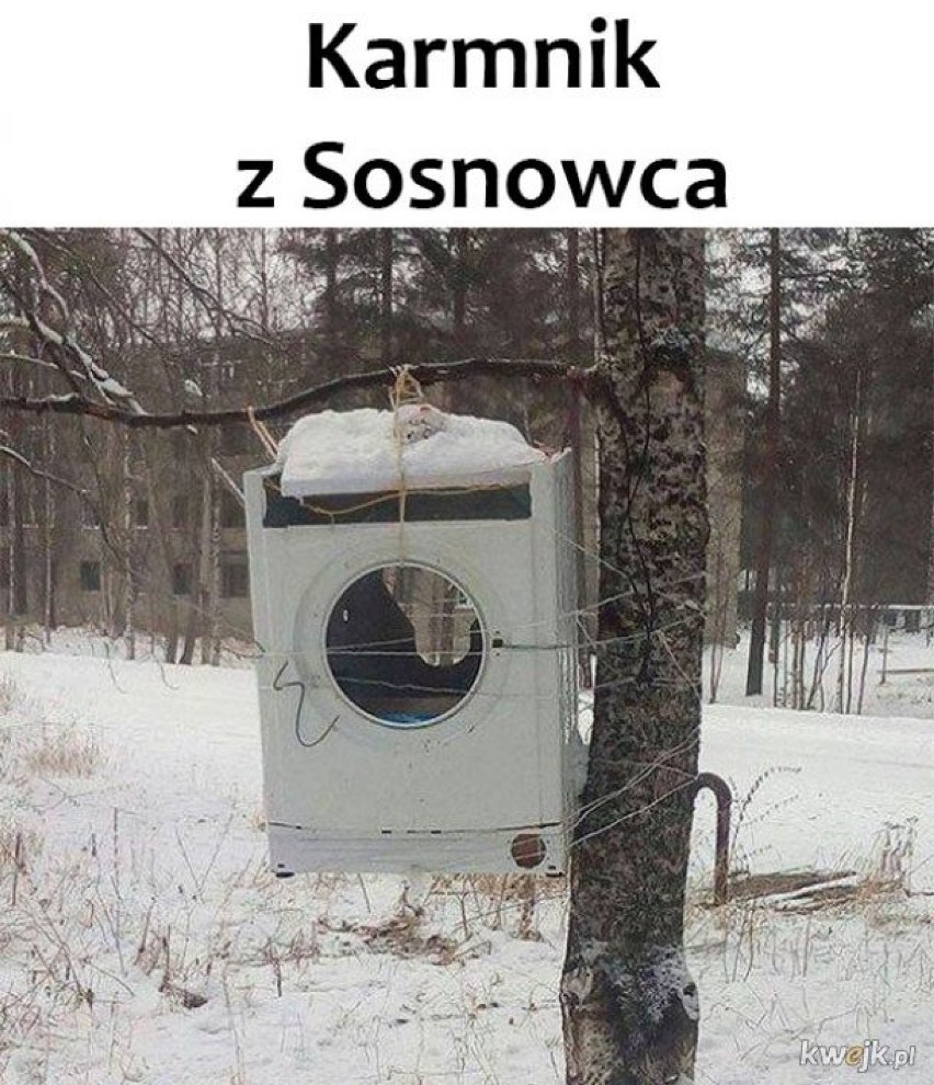 Oto najlepsze MEMY o Sosnowcu! Z czego śmieją się w Internecie? Zobacz, może też się uśmiechniesz