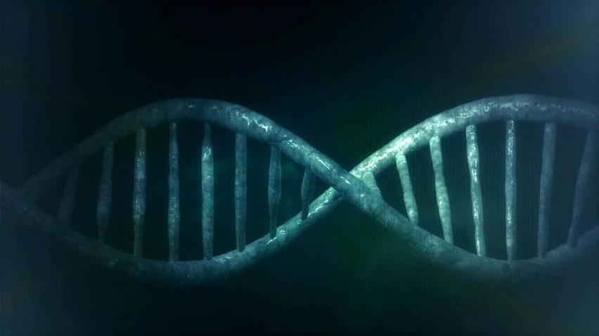 Schody do nieba, w kształcie materiału genetycznego DNA...