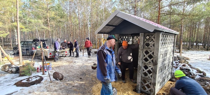 Od pożaru minęły 4 miesiące i na pogorzelisku pojawili się...