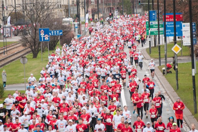 Zdjęcie z Biegu Niepodległości 2015.