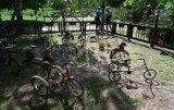 Retroweriada 2015: Zabytkowe rowery nad Jeziorem Strzeszyńskim [ZDJĘCIA]