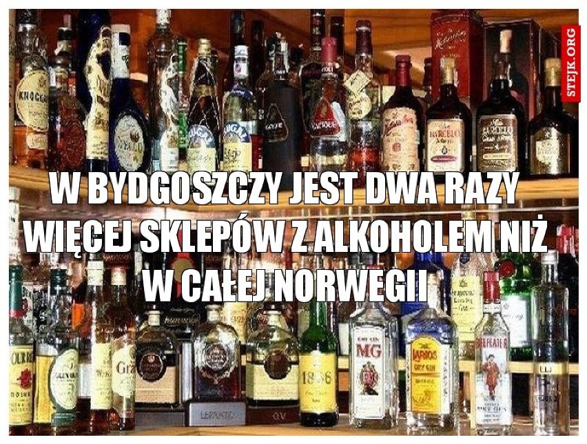 Memy o Kujawsko-Pomorskiem. W naszej galerii znajdziesz memy...