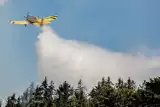 Strażacy z Wałbrzycha walczyli z pożarem lasu w trudnym terenie w okolicy Jedliny-Zdroju. Gasili z powietrza!