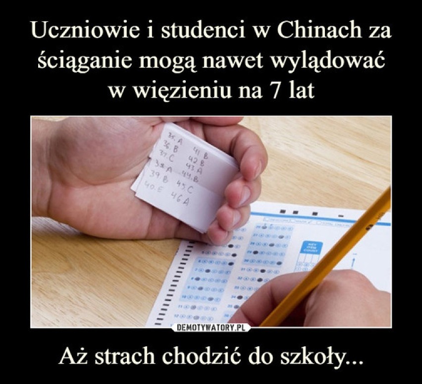 Zobacz najlepsze memy o nauczycielach, uczniach i szkole. Z czego śmieją się internauci? (ZDJĘCIA)