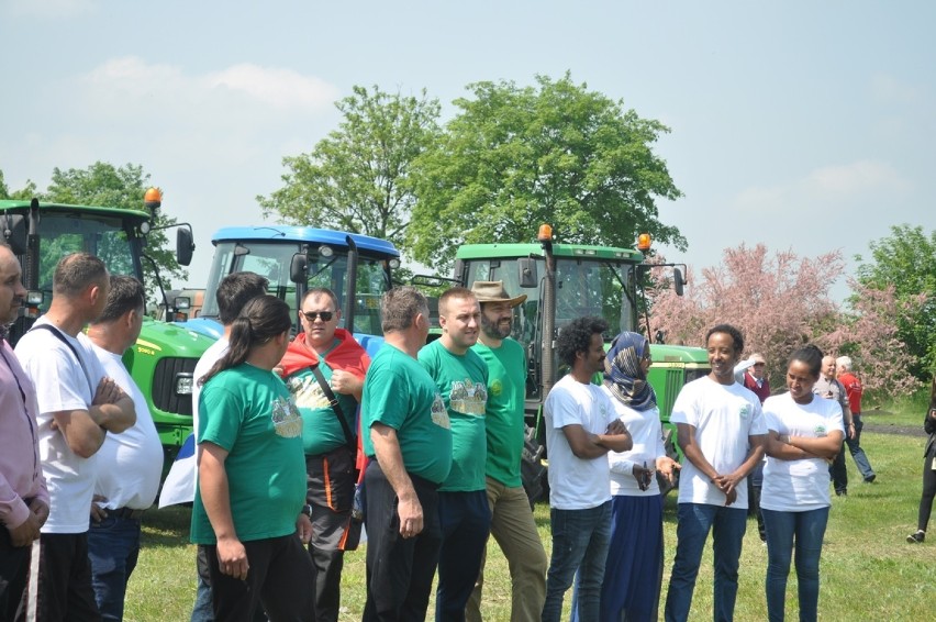 Traktoriada w Grzybnie: święto ciągników i maszyn rolniczych...