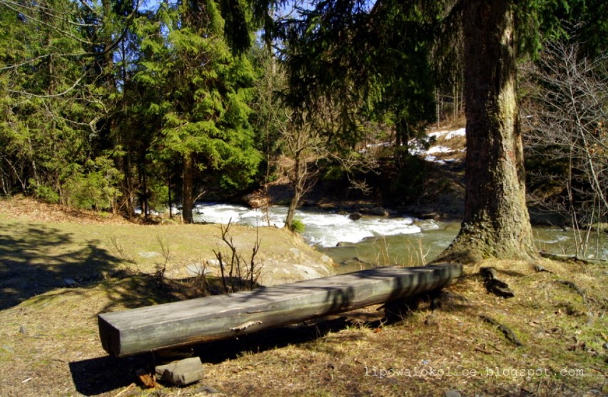 Ścieżka przyrodniczo-dydaktyczna „Dolina Zimnika” znajduje...