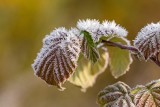 Prognoza pogody na Trzech Króli 2024 w Kaletach. Jakie są przewidywania meteorologów?