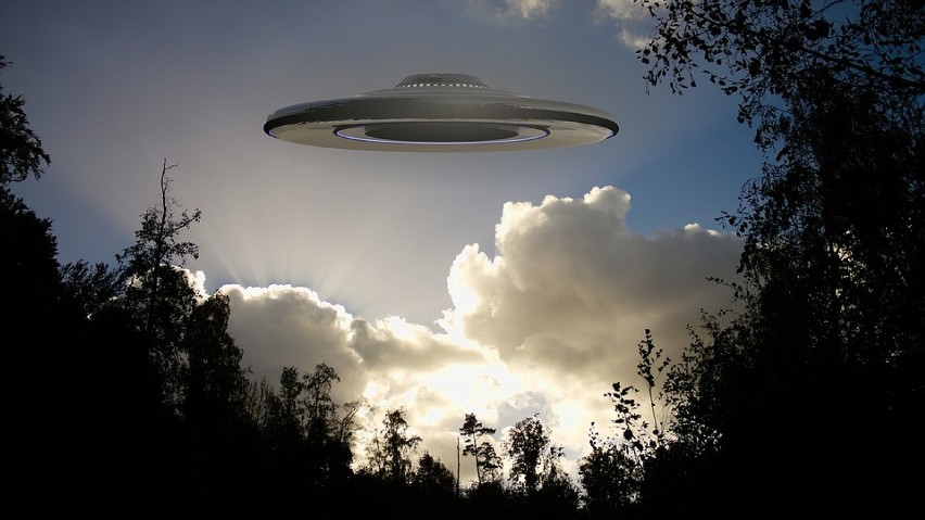 UFO lądowało w Krzewiu Wielkim?...