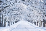 Boże Narodzenie 2023 w Gorzowie Wielkopolskim - pogoda. Sprawdź, czy będzie padać śnieg