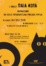 Dzień Kota z Fundacją Felineus. Zapisz się na kocią sesję zdjęciową