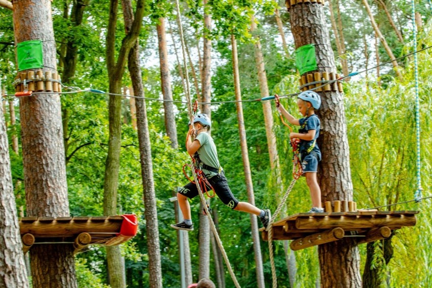 Park Linowy w Pustkowie-Osiedlu znów działa! 