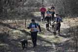 Wielkopolski Dogtrekking na Łęgach Mechlińskich 2023. 1 marca ruszyły zapisy na dogtrekking pod Śremem - korzystajcie, miejsca ograniczone!