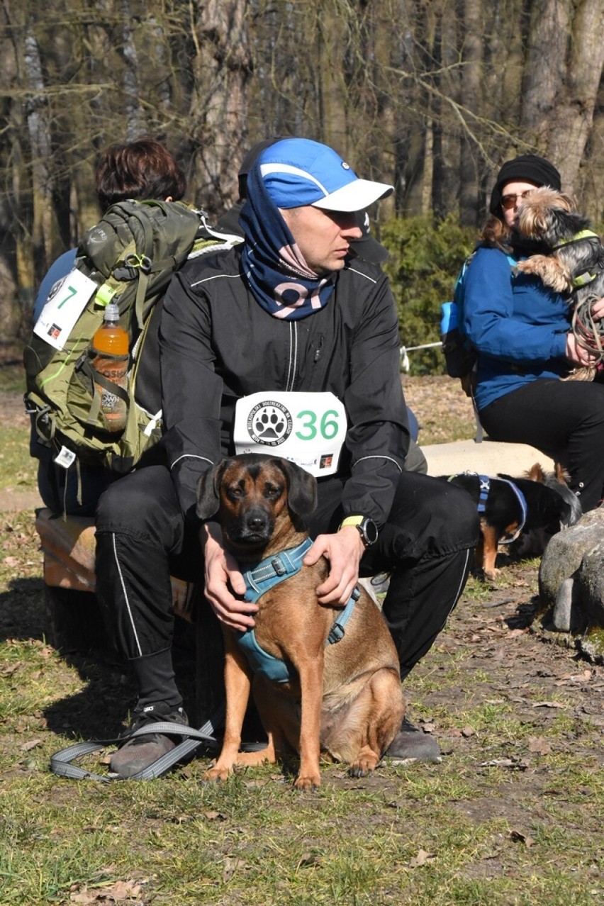 Wielkopolski Dogtrekking na Łęgach Mechlińskich 2022. Ponad...