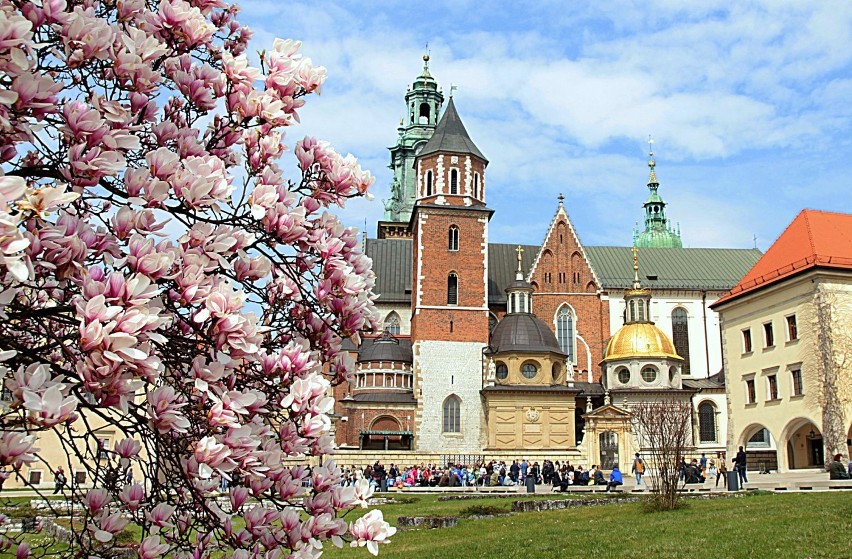 Kwitnące ogrody na Wawelu
